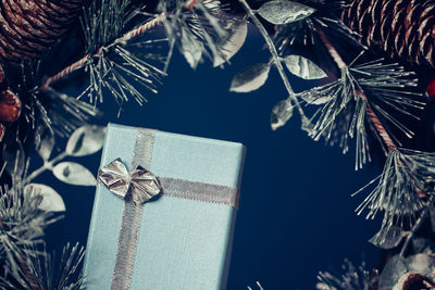 Close-up of christmas tree in box