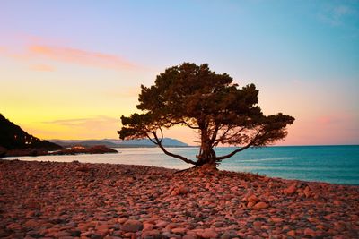 Scenic view of sea against sky during sunset