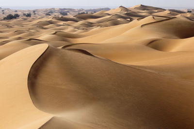 Sand dunes in desert