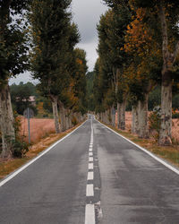 Road amidst trees during autumn