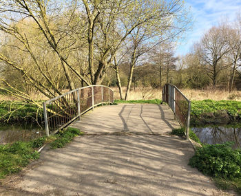 Footpath amidst trees and plants against sky