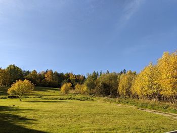 Trees growing on field against sky during autumn