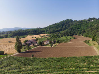 Scenic view of agricultural field against clear sky