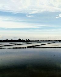 Scenic view of sea against sky
