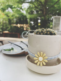 Close-up of potted plant on table