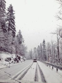 Snow covered road amidst trees