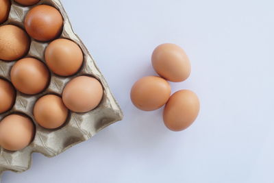 egg