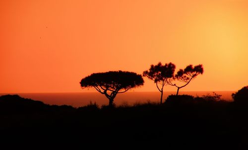 Silhouette trees on field against romantic sky at sunset