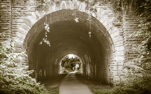 Tunnel in corridor