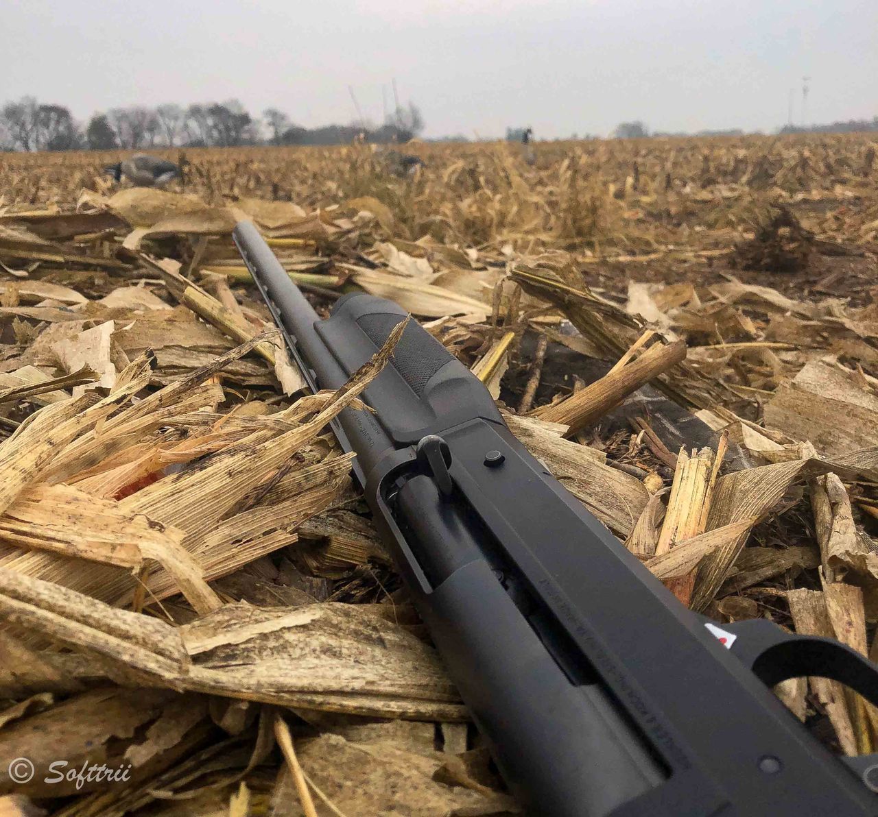 CLOSE-UP OF A FIELD