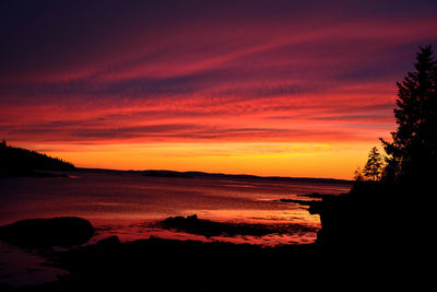 Scenic view of silhouette trees against orange sky