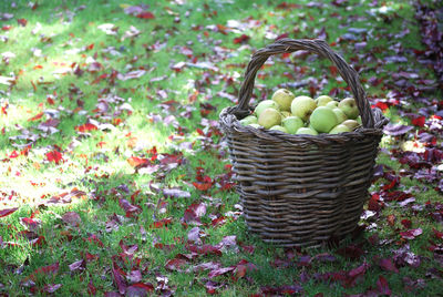 Fruits in basket on field