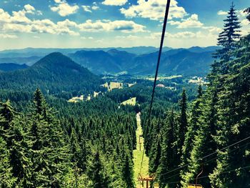 Scenic view of pine trees and mountains against sky