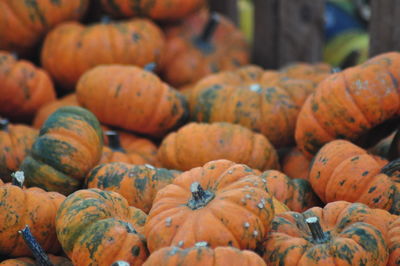 Full frame shot of pumpkins for sale at market stall