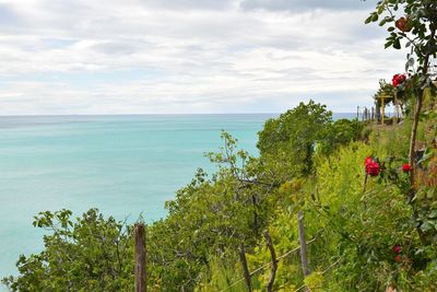 Scenic view of sea against sky