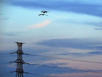 Low angle view of airplane flying in sky