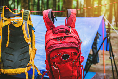 Close-up of clothes hanging on rope