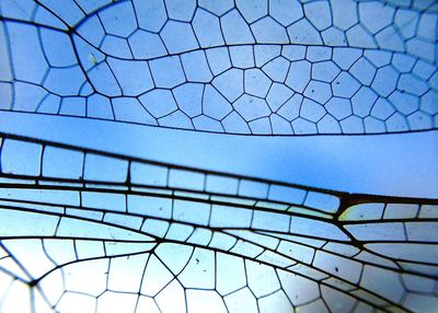 Low angle view of blue sky