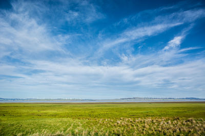 Scenic view of field against sky