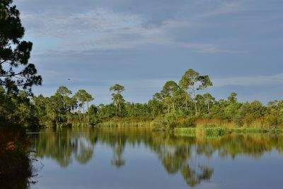 Scenic view of lake by trees against sky