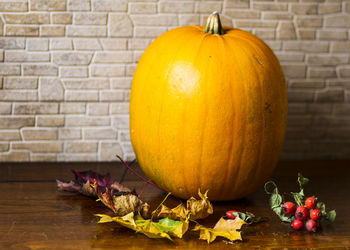 Close-up of pumpkins on table against wall