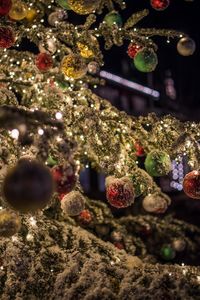 Close-up of christmas tree at night