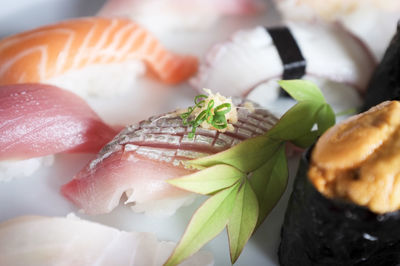 Close-up of sushi in plate