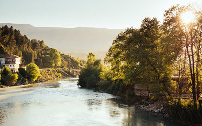 Scenic view of river amidst trees against clear sky