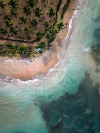 Aerial view of beach and sea