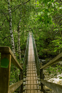A beautiful hanging bridge in forest of finland