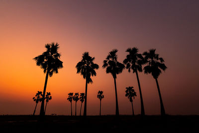 Silhouette palm trees against sky during sunset