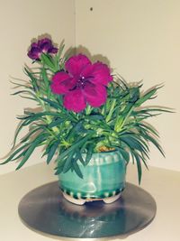 Close-up of vase on table