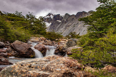 Scenic view of waterfall in forest