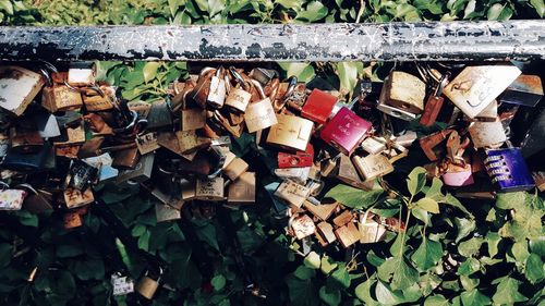 Close-up of padlocks hanging on railing