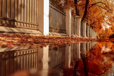 Reflection of trees on lake during autumn