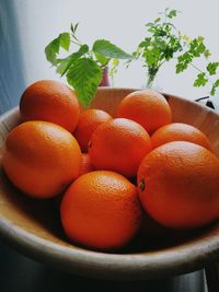 Close-up of orange fruits in container