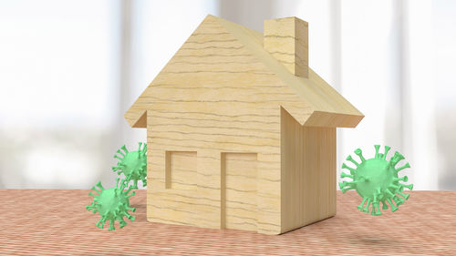 Potted plant on table against building