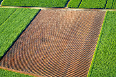 High angle view of farm 