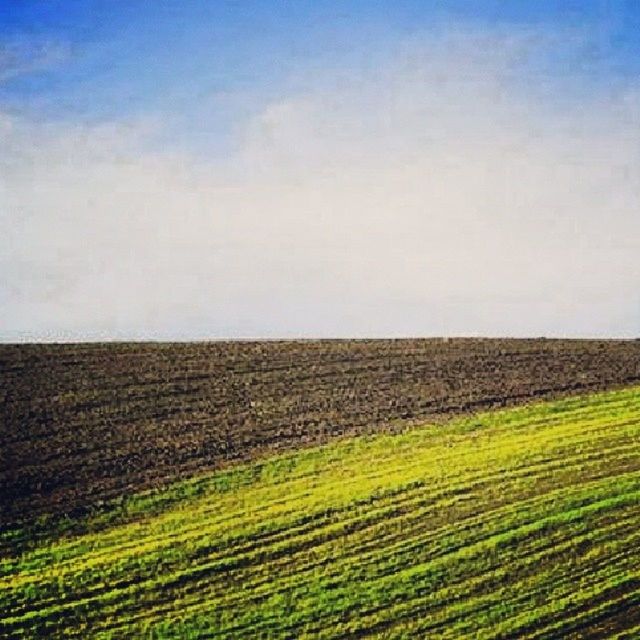 agriculture, field, landscape, rural scene, tranquil scene, farm, tranquility, crop, scenics, beauty in nature, sky, growth, horizon over land, nature, cultivated land, grass, cereal plant, green color, idyllic, plantation