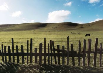 Scenic view of landscape against cloudy sky