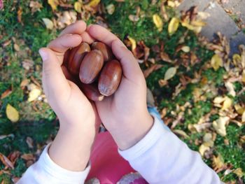 High angle view of hand holding apple