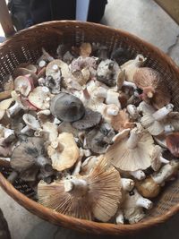 High angle view of mushrooms in basket