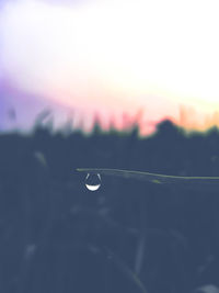Close-up of water drop against sky during sunset
