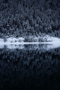 High angle view of water