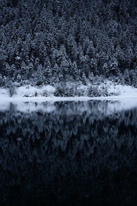 Reflection of mountain in lake