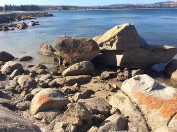 Scenic view of sea shore