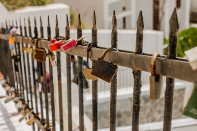 fence