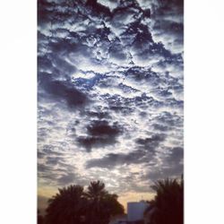 Low angle view of trees against cloudy sky