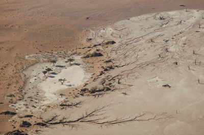 Footprints on sandy beach