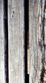 Full frame shot of wooden wall